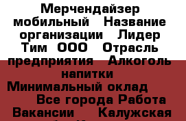 Мерчендайзер мобильный › Название организации ­ Лидер Тим, ООО › Отрасль предприятия ­ Алкоголь, напитки › Минимальный оклад ­ 43 000 - Все города Работа » Вакансии   . Калужская обл.,Калуга г.